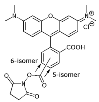 5(6)-Carboxytetramethylrhodamine NHS ester (5(6)-TAMRA SE), mixed isomers 