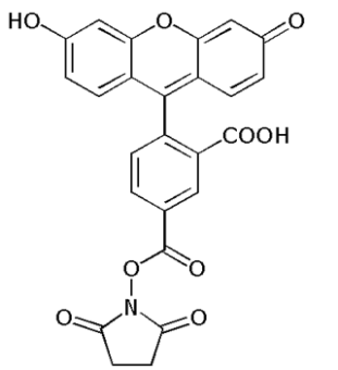 5-Carboxyfluorescein NHS-ester (5-FAM SE), ~single isomer 