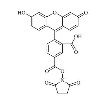 5-Carboxyfluorescein NHS ester, single isomer (5-FAM-SE) 