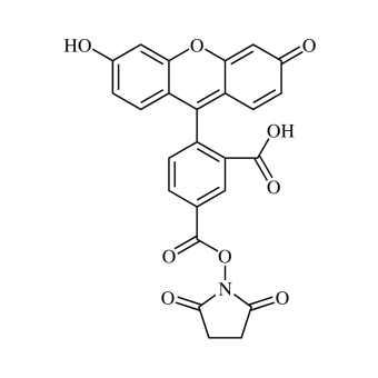 5-Carboxyfluorescein NHS ester, single isomer (5-FAM-SE) 