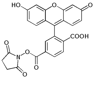 6-Carboxyfluorescein NHS ester (6-FAM SE), ~single isomer 