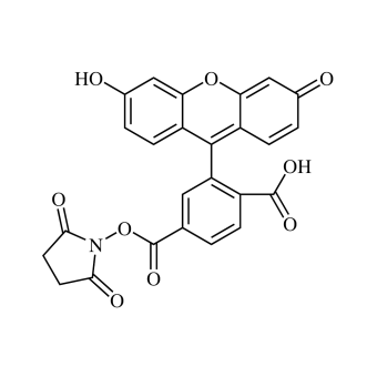 6-Carboxyfluorescein NHS ester, single isomer (6-FAM-SE) 