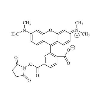 6-Carboxytetramethylrhodamine NHS ester, single isomer (6-TAMRA-SE) 