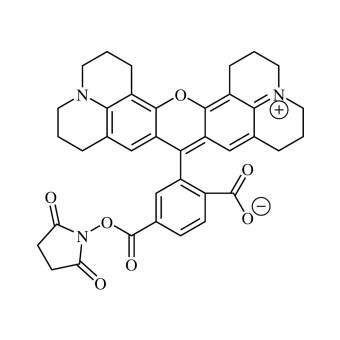 6-Carboxy-X-rhodamine NHS ester, single isomer (6-ROX-SE) 