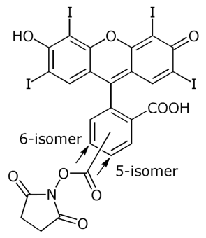5(6)-Carboxy-Erythrosin B NHS ester (5(6)-EryB SE), ~mixed isomers 