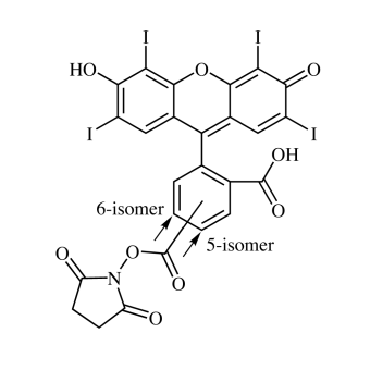 5/6-Carboxy-Erythrosin B NHS ester, mixed isomers (EryB-SE) 25 mg