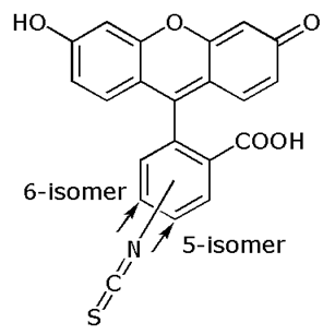 Fluorescein-5(6)-isothiocyanate (5(6)-FITC), mixed isomers 