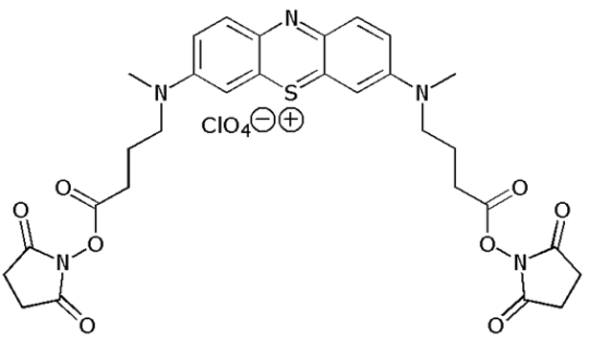 Dicarboxymethylene Blue NHS ester (DCMB SE) 