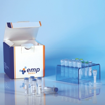 TurboTag 594 (DY-594 Protein Labeling Kit) 