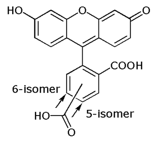 5(6)-Carboxyfluorescein (5(6)-FAM), mixed isomers 
