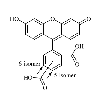 5/6-Carboxyfluorescein, mixed isomers (5/6-FAM) (99+%) 