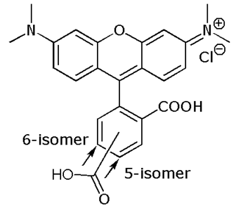 5(6)-Carboxytetramethylrhodamine (5(6)-TAMRA), ~mixed isomers 