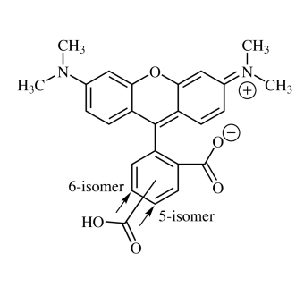 5/6-Carboxytetramethylrhodamine, mixed isomers (5/6-TAMRA) 