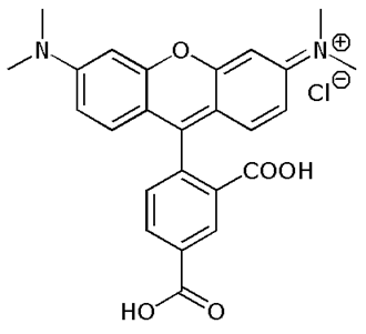 5-Carboxytetramethylrhodamine (5-TAMRA), single isomer 