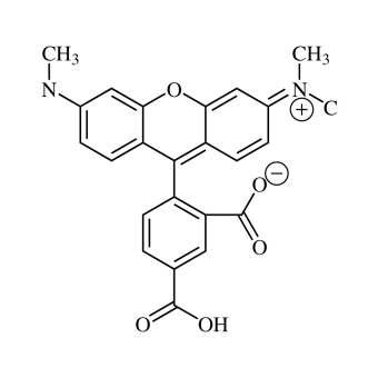 5-Carboxytetramethylrhodamine, single isomer (5-TAMRA) 