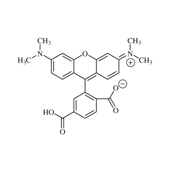 6-Carboxytetramethylrhodamine, single isomer (6-TAMRA) 