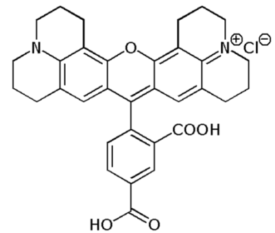 5-Carboxy-X-rhodamine (5-ROX), single isomer 