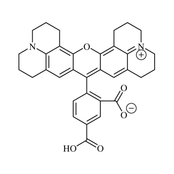 5-Carboxy-X-rhodamine, single isomer (5-ROX) 1 g