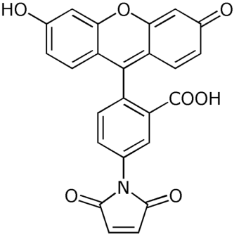 Fluorescein-5-maleimide (5-F-MI), single isomer 