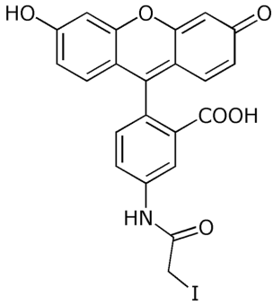 5-Iodoacetamidofluorescein (5-IAAF), single isomer 