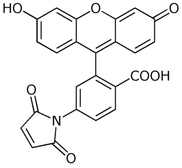 Fluorescein-6-maleimide (6-F-MI), single isomer 