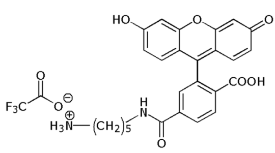 6-Carboxyfluorescein amine (6-FAM amine), single isomer 