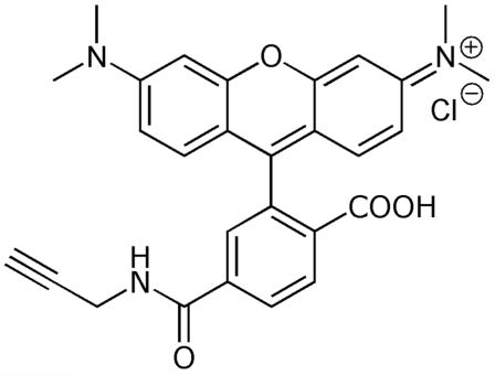 6-Carboxytetramethylrhodamine alkyne (6-TAMRA alkyne), ~single isomer 